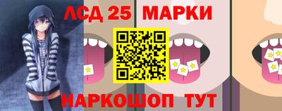 гидра Новодвинск