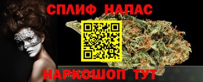 гидра Новодвинск