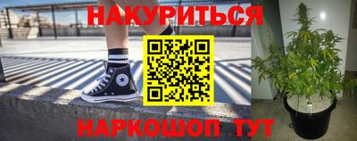 гидра Новодвинск