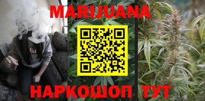мдпв Новозыбков