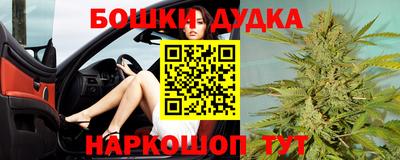 гидра Новодвинск