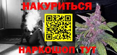 мдпв Новозыбков