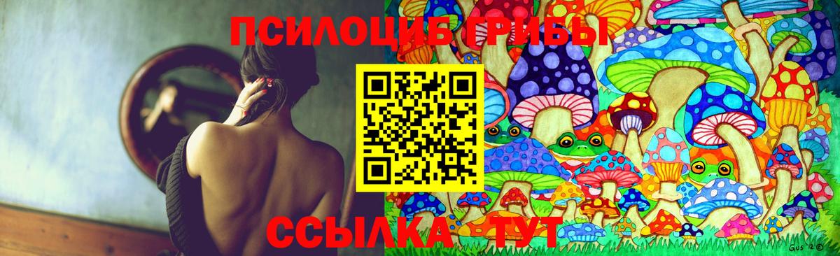 Галлюциногенные грибы прущие грибы  Галлюциногенные грибы MAGIC MUSHROOMS  Вход с VPN  Тавда 