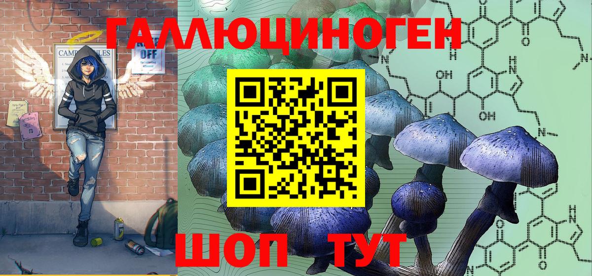 Псилоцибиновые грибы Cubensis Тавда